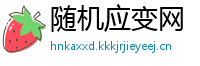 随机应变网